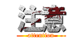 注意 (attention)