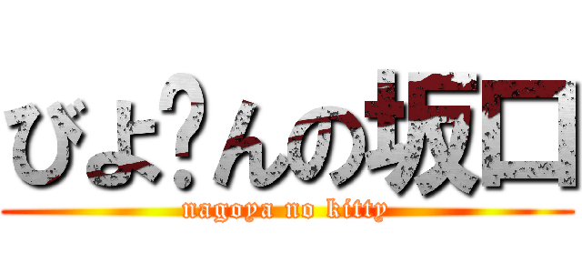びよ〜んの坂口 (nagoya no kitty)