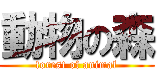 動物の森 (forest of animal)