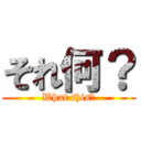 それ何？ (What this?)