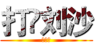 打✘刘沙 (打刘沙)