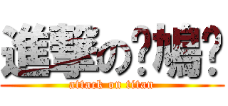進撃の憨鳩佬 (attack on titan)