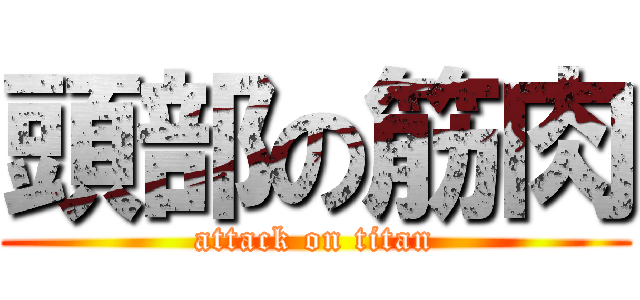 頭部の筋肉 (attack on titan)