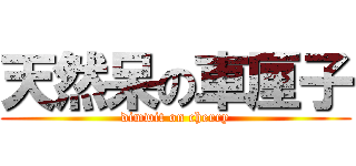 天然呆の車厘子 (dimwit on cherry)