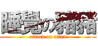 睡覺の豬豬 (attack on titan)