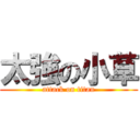 太強の小草 (attack on titan)