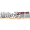 进击の张苗苗 (attack on 肥居)