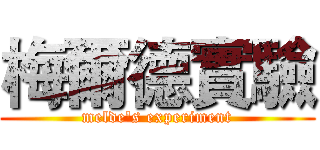 梅爾德實驗 (melde's experiment)