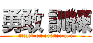 勇敢 訓練 (attack on orangemen)