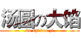 汤圆の大馅 (bu shi bao zi)