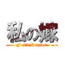 私の嫁 (F-22 Rapter)