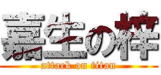 嘉生の梓 (attack on titan)