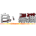 白い 黒猫 (white and black)