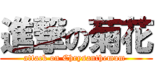 進撃の菊花 (attack on Chrysanthemum )