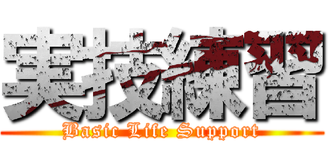 実技練習 (Basic Life Support)