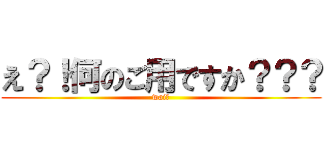 え？！何のご用ですか？？？ (wai?)