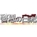 啓恩の白虎 (WT の WT)