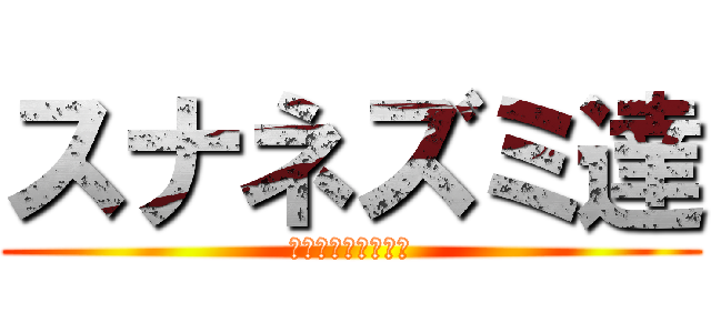 スナネズミ達 (シベリアンハスキー)