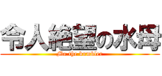 令人絶望の水母 (Ma the bumbler)