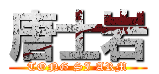 唐士岩 (TONG SI ARM)