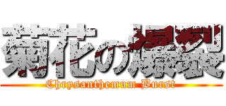 菊花の爆裂 (Chrysanthemum Burst)