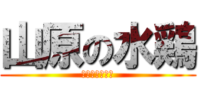 山原の水鶏 (ヤンバルクイナ)