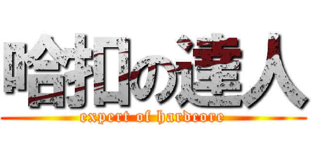 哈扣の達人 (expert of hardcore)
