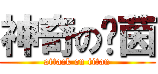神奇の洨茵 (attack on titan)