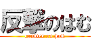 反撃のはむ (counter on ham)