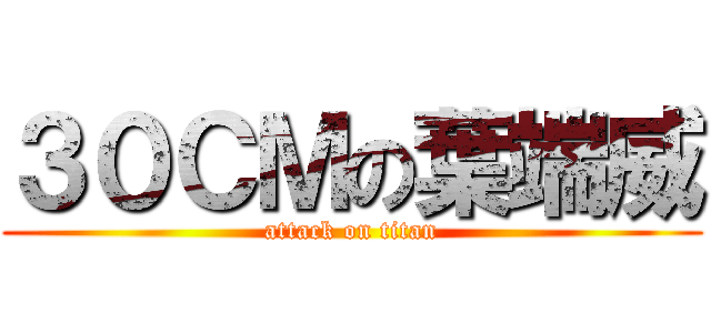 ３０ＣＭの葉端威 (attack on titan)