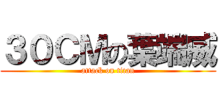 ３０ＣＭの葉端威 (attack on titan)