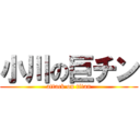小川の巨チン (attack on titan)
