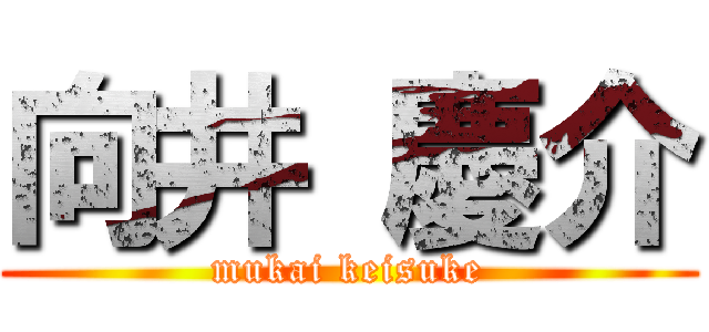 向井 慶介 (mukai keisuke)
