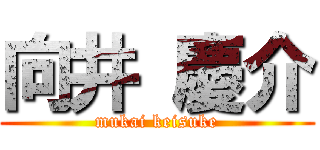 向井 慶介 (mukai keisuke)