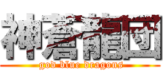神蒼龍団 ( god blue dragons)