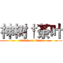 神树†荼叶 (attack on titan)