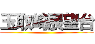 玉取崎展望台 ()