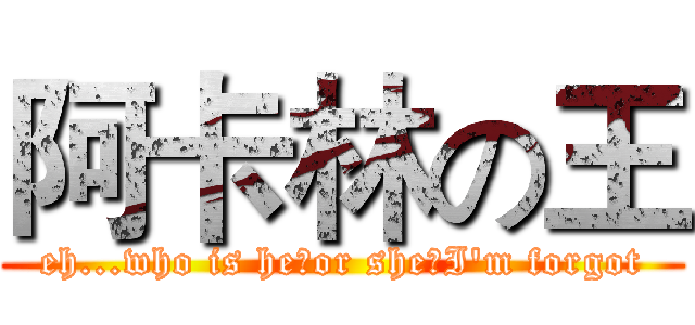 阿卡林の王 (eh...who is he（or she）I'm forgot)