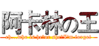 阿卡林の王 (eh...who is he（or she）I'm forgot)