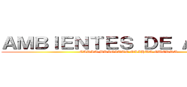 ＡＭＢＩＥＮＴＥＳ ＤＥ ＡＣＥＲＯ (CARLA BRIGITTE OLIHUA GUERRA)