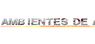 ＡＭＢＩＥＮＴＥＳ ＤＥ ＡＣＥＲＯ (CARLA BRIGITTE OLIHUA GUERRA)