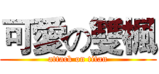 可愛の雙楓 (attack on titan)