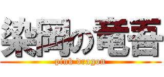 染岡の竜吾 (pink dragon)