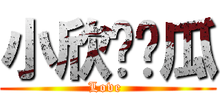 小欣爱傻瓜 (Love )