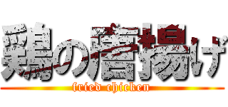 鶏の唐揚げ (fried chicken)