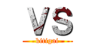 ＶＳ (kitigai)