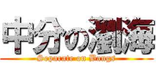 中分の瀏海 (Separate on Bangs)