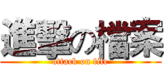 進擊の檔案 (attack on file)
