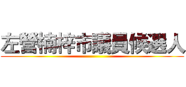 左營楠梓市議員候選人 ()