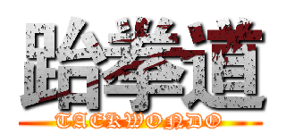 跆拳道 (TAEKWONDO)